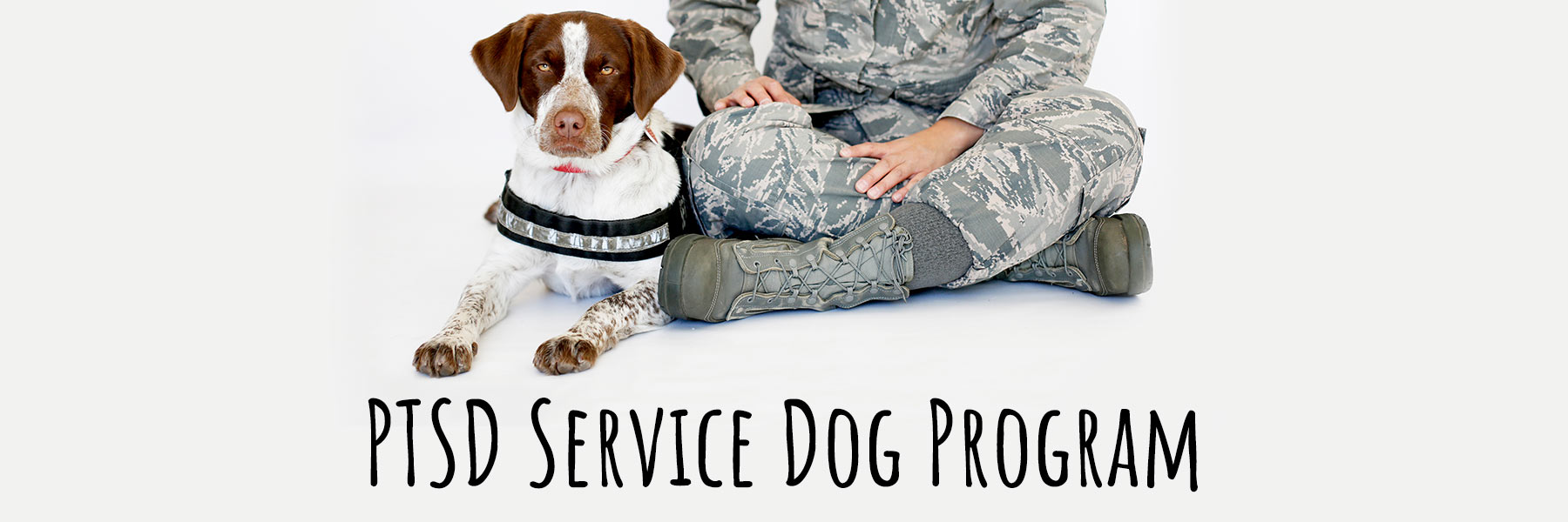 PTSD Service Dog Program