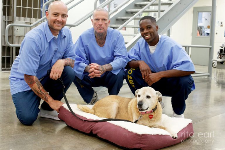 Grand Paws For Life Paws For Life K9 Rescue