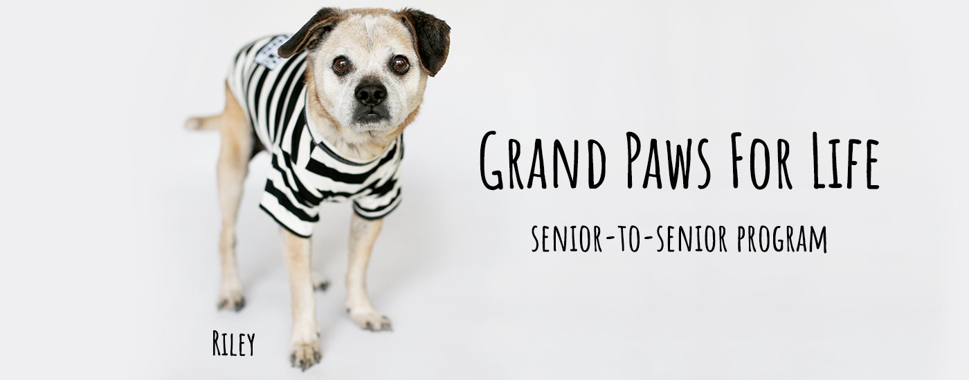 Grand Paws for Life Prison Program