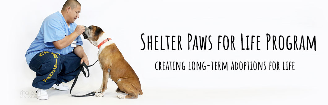 Shelter Paws for Life program