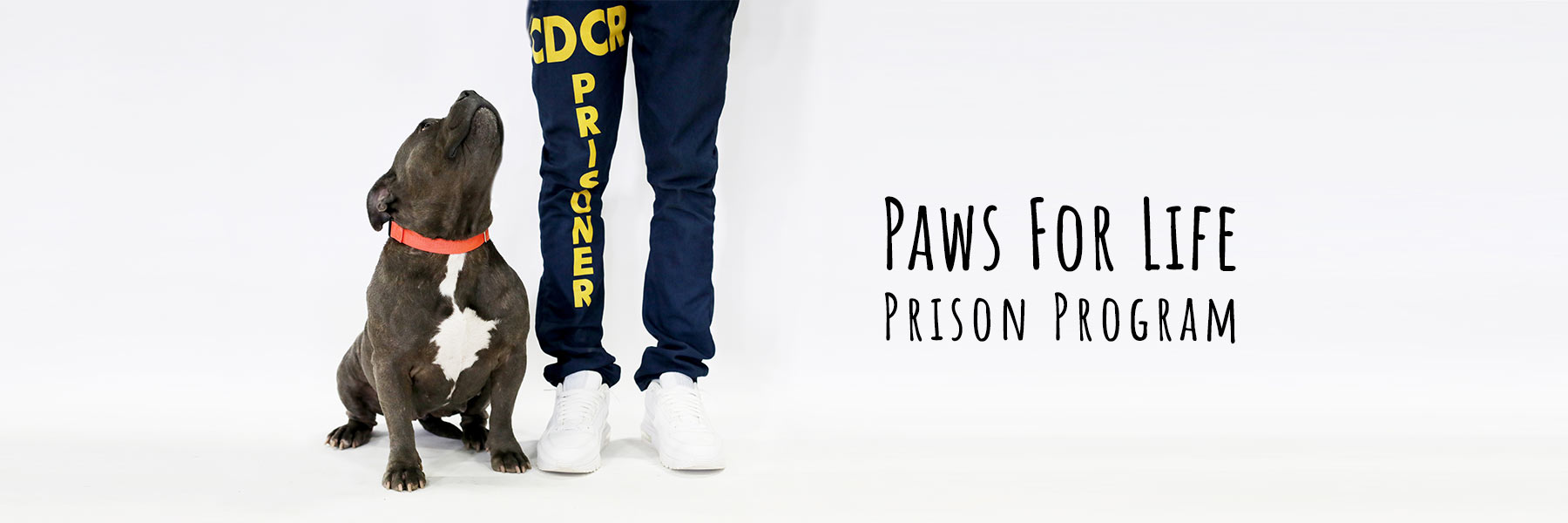 Paws For Life K9 Prison Program