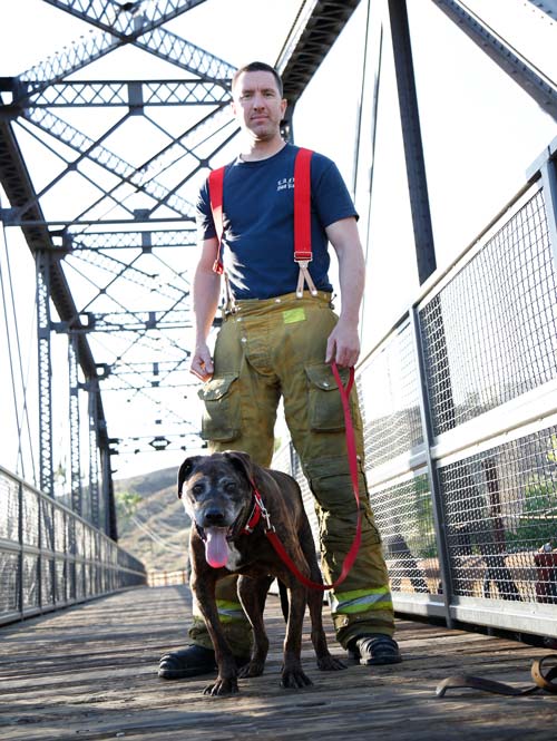 Therapy dog with fireman