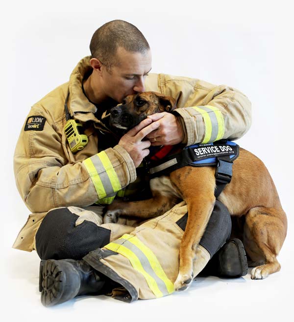 Therapy dog with fireman