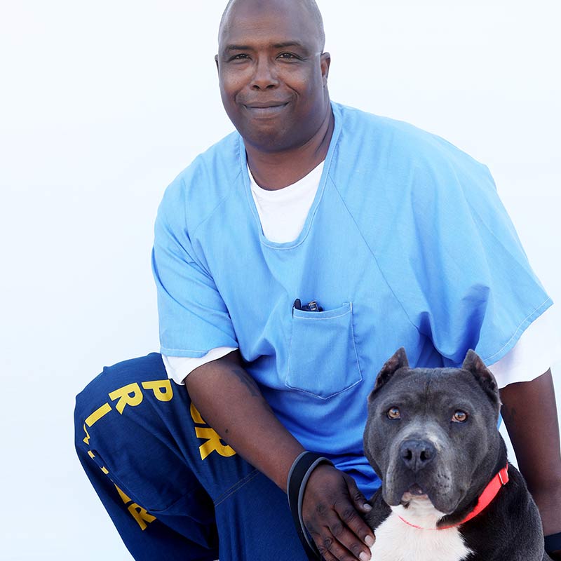 paws for life near me