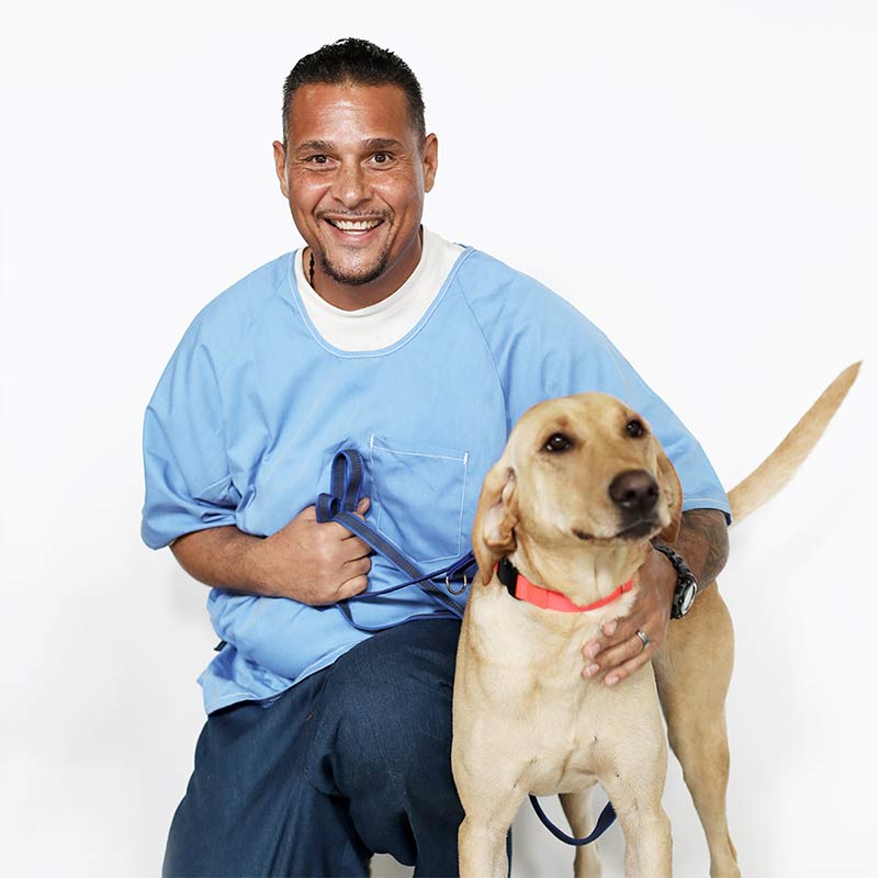 paws for life near me