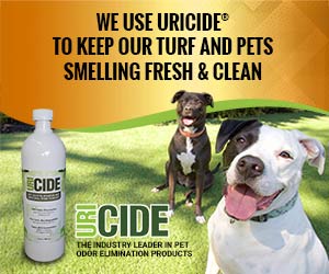 Uricide for pet odors