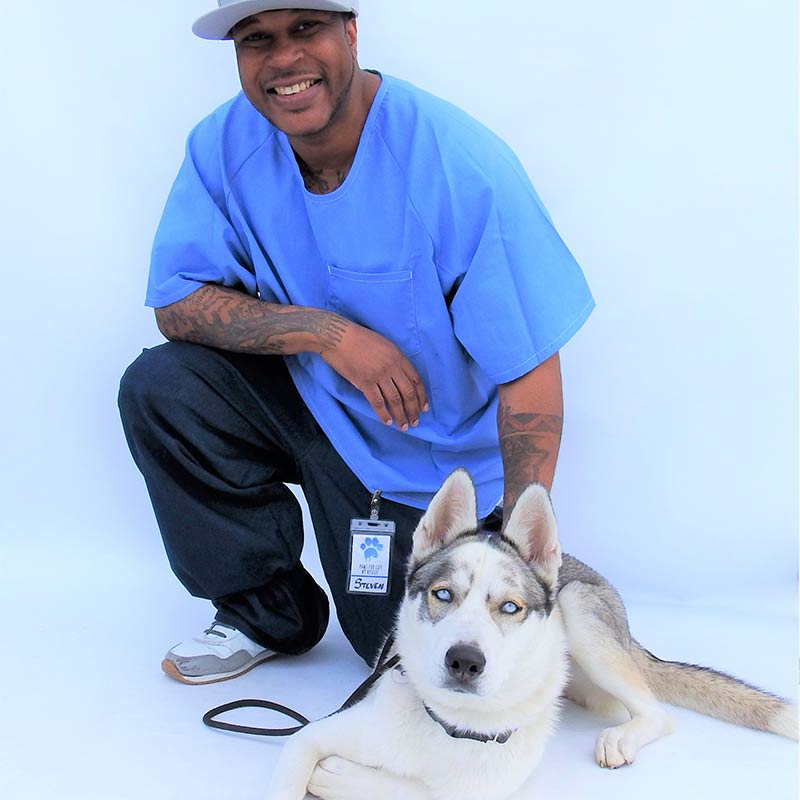 Steven B., Dog trainer