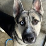 Photo of Togo