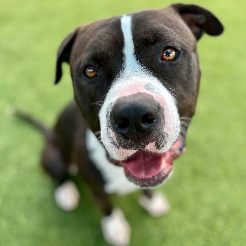Photo of Zeus