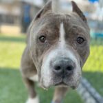 Photo of Big Boy