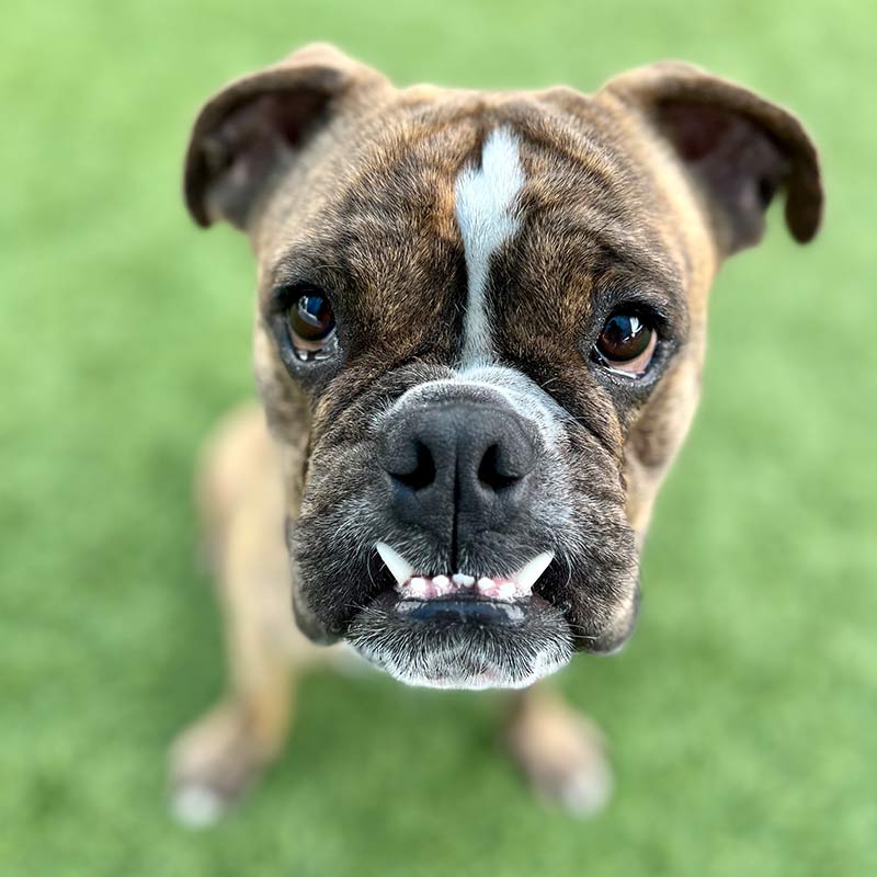 Photo of Lulu