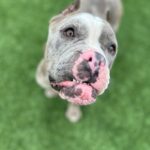 Photo of Tess