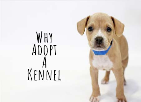 Why adopt a kennel