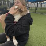 An image of Suzy. Suzy is a Terrier, Pit Bull.