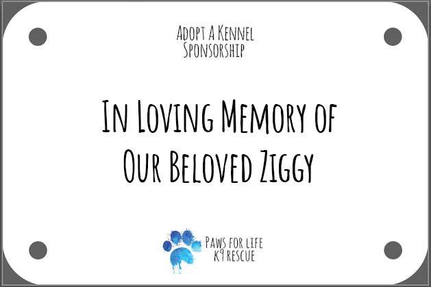 Half plaque example with, In Loving Memory of Our Beloved Ziggy