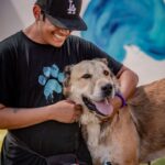 Scarlett is a Shepherd, Anatolian.