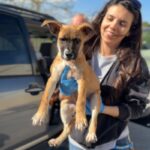 Nala is a Mixed Breed (Medium).