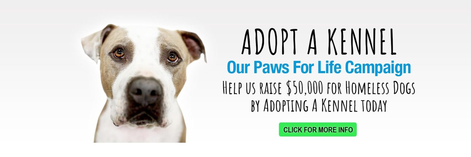 Send a Paws for life mother's day card to a friend of loved one. Click for more information