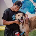 Scarlett is a Shepherd, Anatolian.